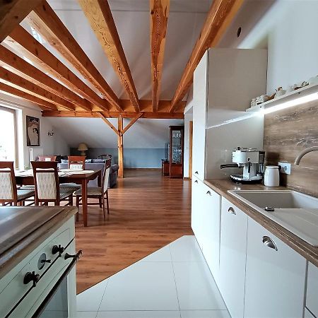 Barytowy Apartament Tarnowskie Góry Extérieur photo
